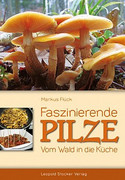 Faszinierende Pilze: Vom Wald in die Küche