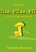 Pilze, Pilze, Pilze: Pilze für Topf & Pfanne