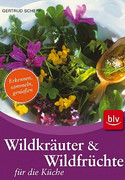 Wildkräuter & Wildfrüchte für die Küche